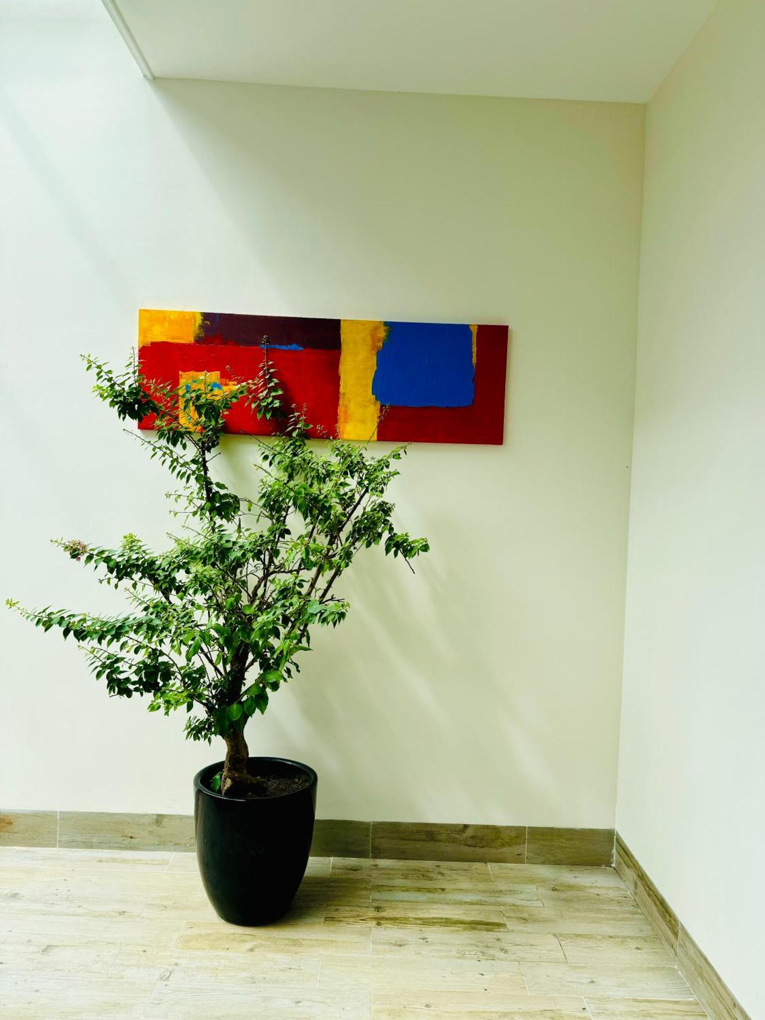 An House Hotel & Apartment Дананг Екстериор снимка